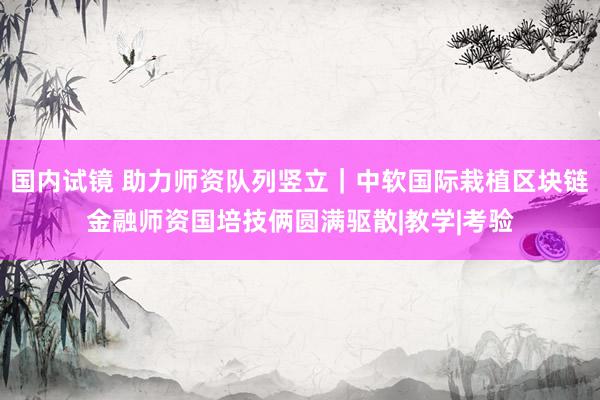国内试镜 助力师资队列竖立｜中软国际栽植区块链金融师资国培技俩圆满驱散|教学|考验
