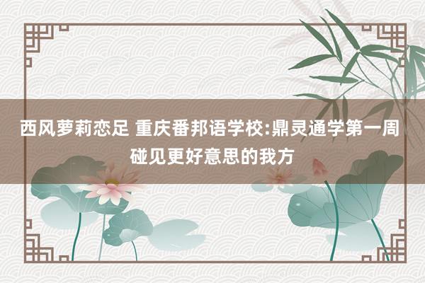 西风萝莉恋足 重庆番邦语学校:鼎灵通学第一周 碰见更好意思的我方