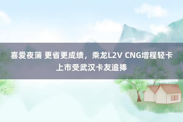 喜爱夜蒲 更省更成绩，乘龙L2V CNG增程轻卡上市受武汉卡友追捧