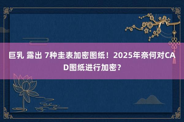 巨乳 露出 7种圭表加密图纸！2025年奈何对CAD图纸进行加密？