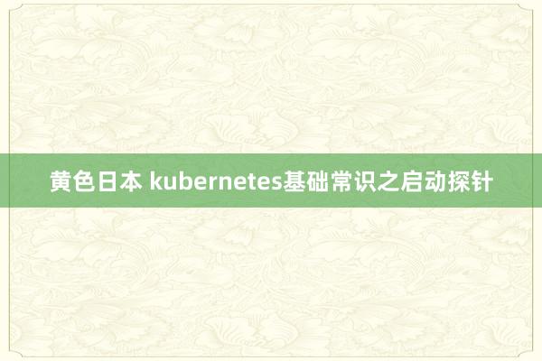 黄色日本 kubernetes基础常识之启动探针