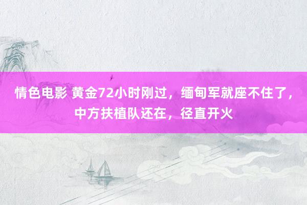 情色电影 黄金72小时刚过，缅甸军就座不住了，中方扶植队还在，径直开火