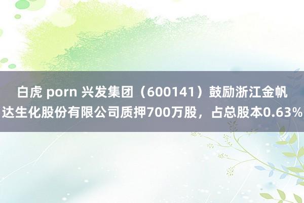 白虎 porn 兴发集团（600141）鼓励浙江金帆达生化股份有限公司质押700万股，占总股本0.63%