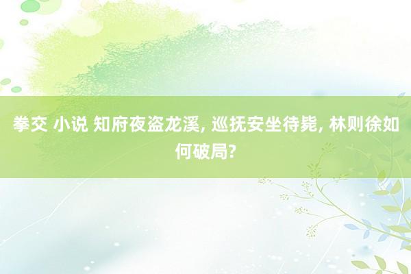 拳交 小说 知府夜盗龙溪， 巡抚安坐待毙， 林则徐如何破局?