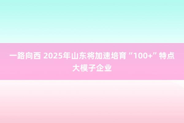 一路向西 2025年山东将加速培育“100+”特点大模子企业