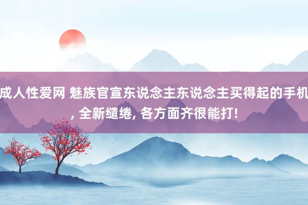 成人性爱网 魅族官宣东说念主东说念主买得起的手机， 全新缱绻， 各方面齐很能打!