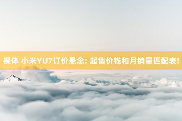 裸体 小米YU7订价悬念: 起售价钱和月销量匹配表!