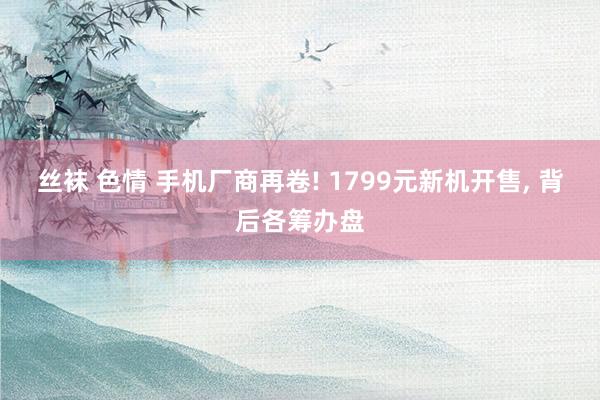 丝袜 色情 手机厂商再卷! 1799元新机开售， 背后各筹办盘
