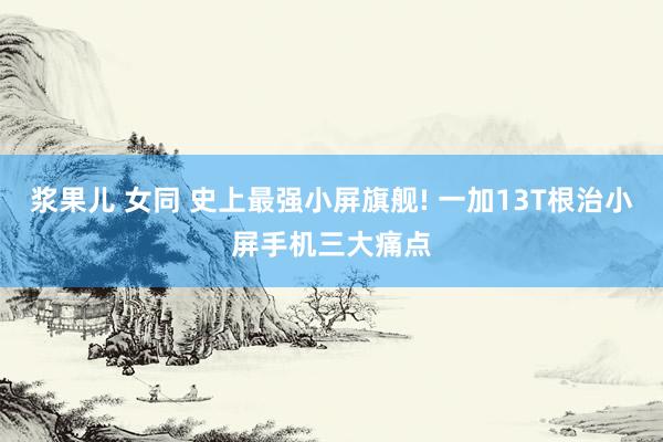 浆果儿 女同 史上最强小屏旗舰! 一加13T根治小屏手机三大痛点