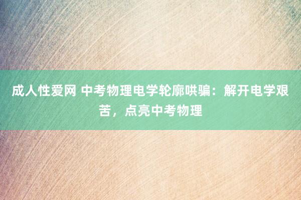 成人性爱网 中考物理电学轮廓哄骗：解开电学艰苦，点亮中考物理